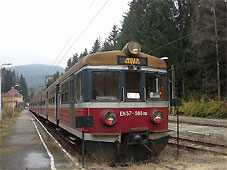 min 377 7.jpg min 377 7.jpg